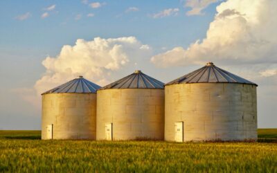 Breaking Out of the Silo Mentality